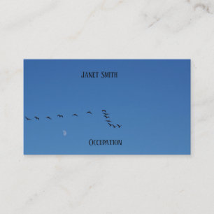 Canadian geese in flight business card
