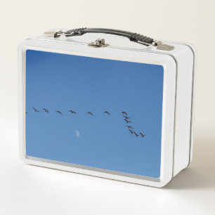 Canadian geese in flight metal lunch box