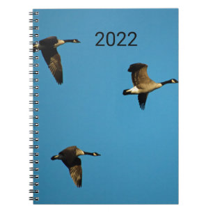 Canadian geese in flight notebook