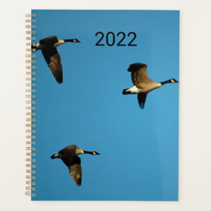 Canadian geese in flight  planner