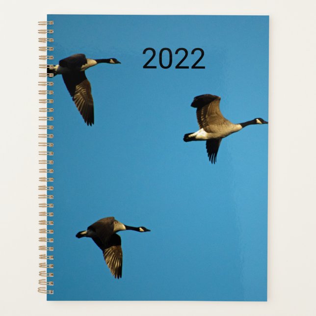 Canadian geese in flight  planner (Front)