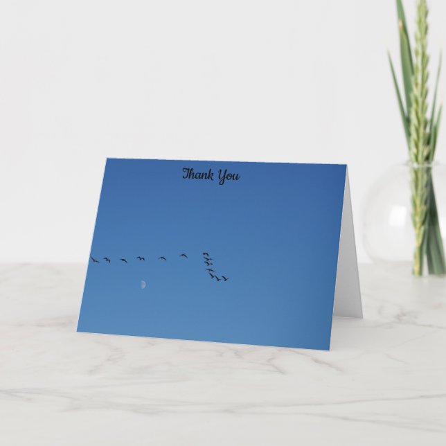 Canadian geese in flight thank you card (Front)