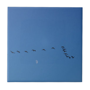 Canadian geese in flight tile