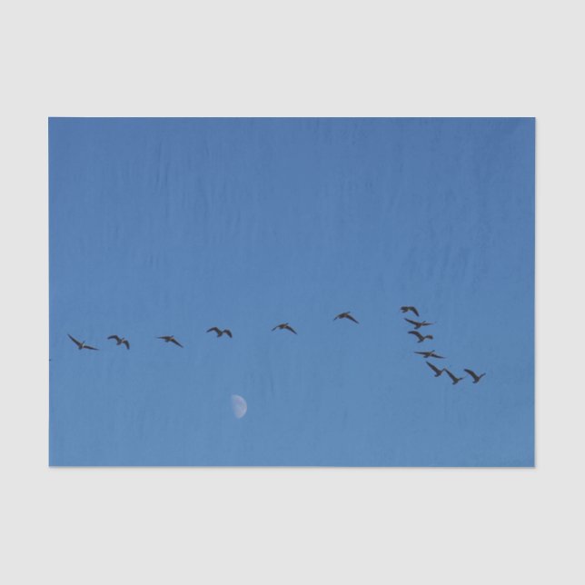 Canadian geese in flight        tissue paper (Front)