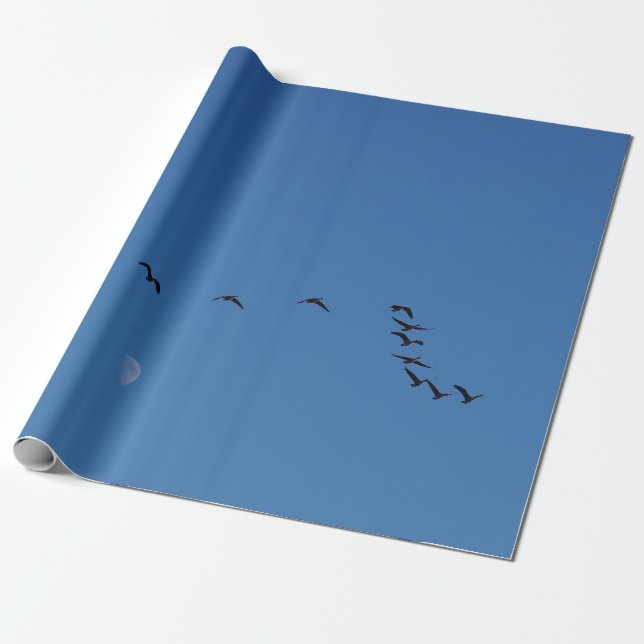 Canadian geese in flight        wrapping paper (Unrolled)