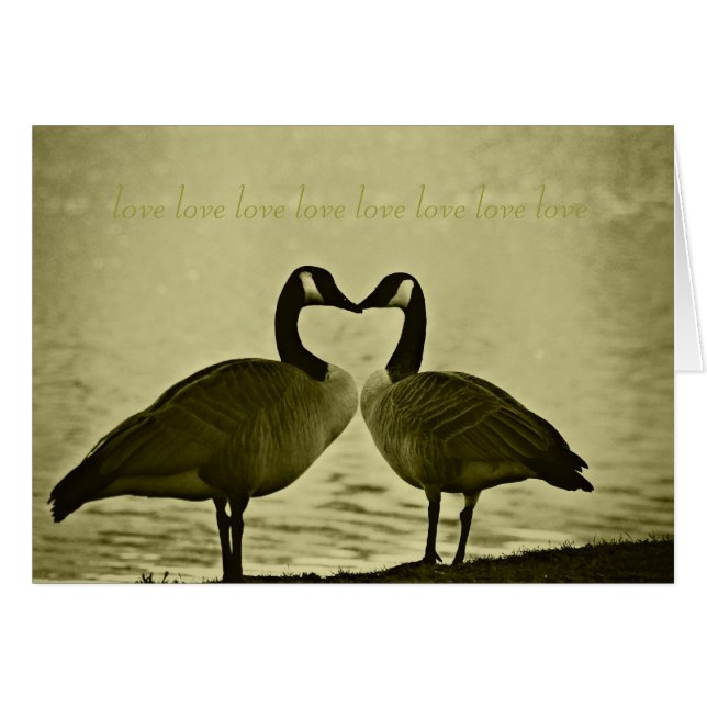 Canadian Geese Photo (Front Horizontal)