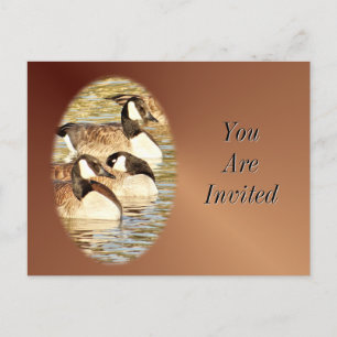 Canadian Geese Postcard-Invitation-customise Invitation Postcard