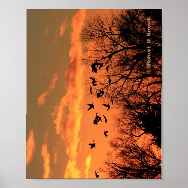 Canadian Geese Sunset Silhouette  Wood Poster. Woo Poster (Front)