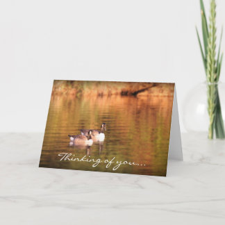 Canadian geese - thinking of you card