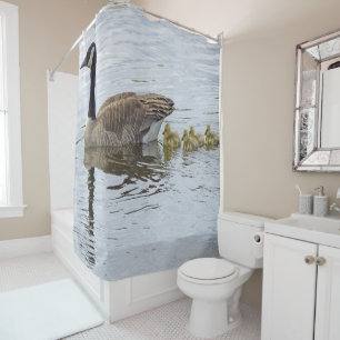 Canadian Goose And Goslings Shower Curtain