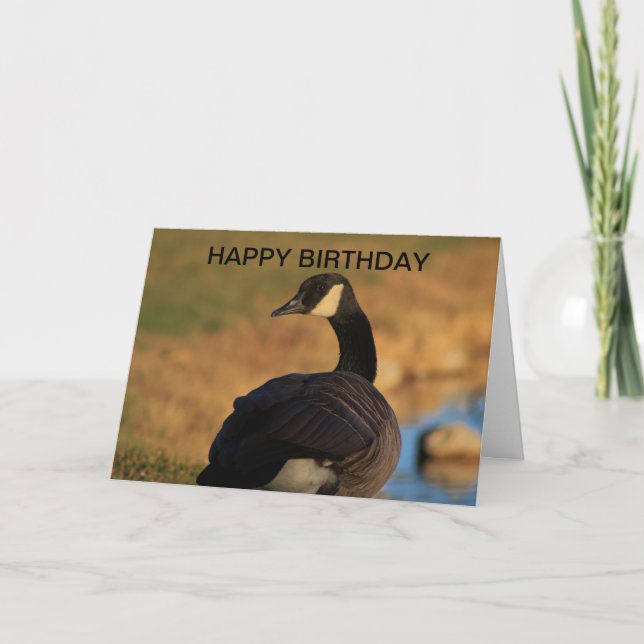 Canadian Goose Birthday Card (Front)