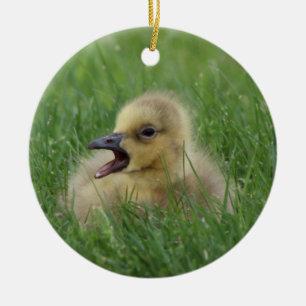 Canadian Goose Chick Ceramic Tree Decoration
