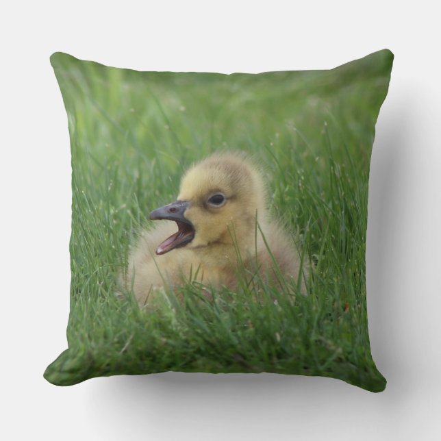 Canadian Goose Chick Cushion (Front)
