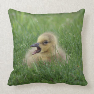 Canadian Goose Chick Cushion