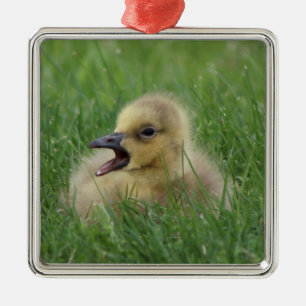 Canadian Goose Chick Metal Tree Decoration