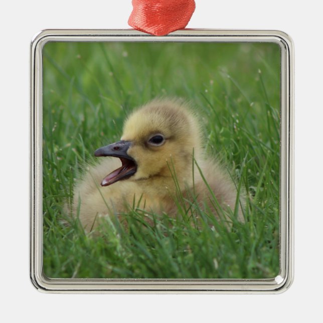 Canadian Goose Chick Metal Tree Decoration (Front)