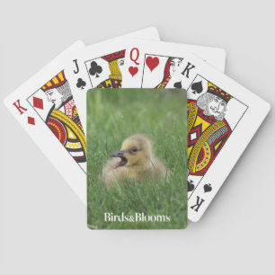 Canadian Goose Chick Playing Cards