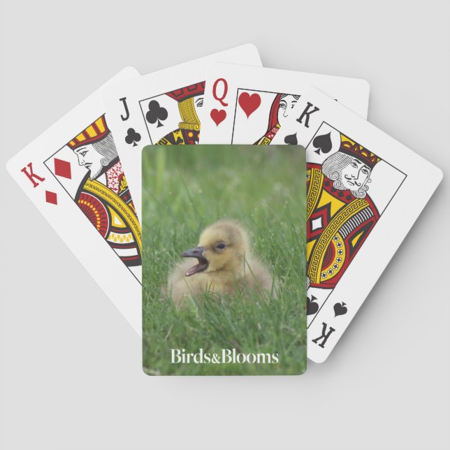 Canadian Goose Chick Playing Cards (Back)