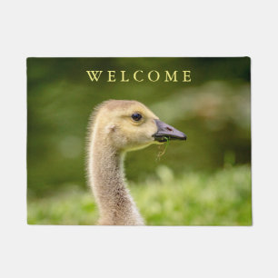 Canadian Goose (Gosling) Doormat