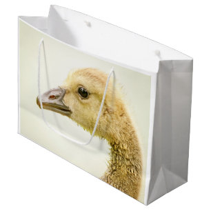 Canadian Goose (Gosling) Large Gift Bag