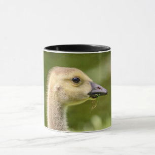 Canadian Goose (Gosling) Mug
