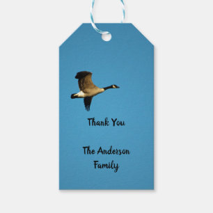Canadian goose in flight gift tags