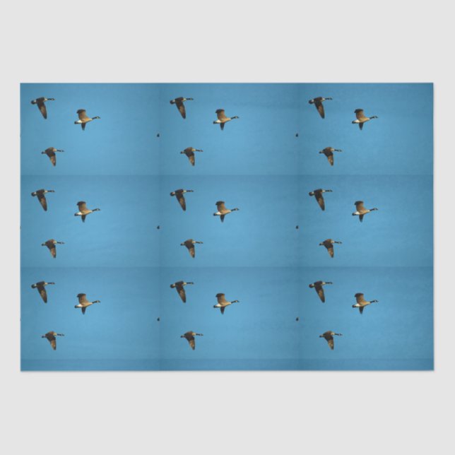 Canadian goose in flight   tissue paper (Front)