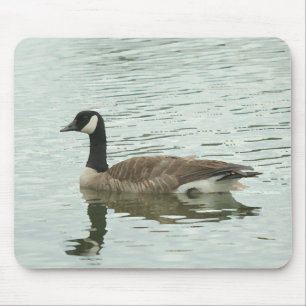 Canadian goose mouse mat