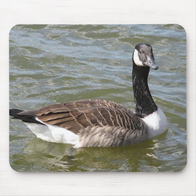 Canadian Goose Mouse Mat (Front)