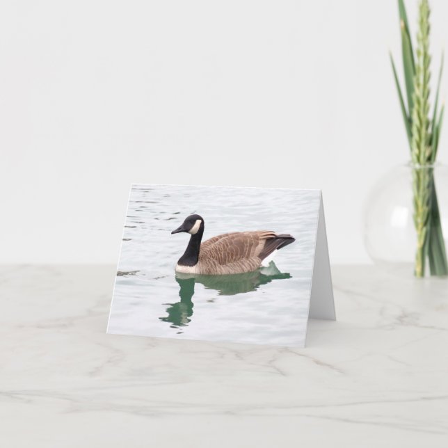 Canadian Goose note card (blank) (Front)