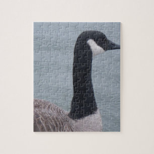 Canadian Goose on a Lake Jigsaw Puzzle