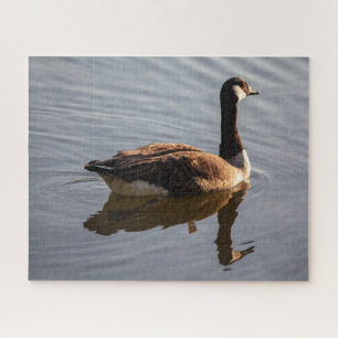 Canadian Goose on Lake Jigsaw Puzzle
