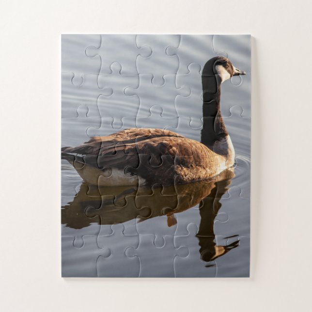 Canadian Goose Swimming on Lake Jigsaw Puzzle (Vertical)