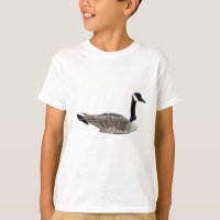 Canadian Goose