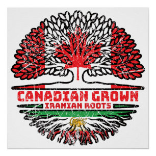 Canadian Grown, Iranian Roots – Lion and Sun Poster