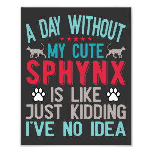 Canadian Hairless Sphynx Cat Owner Funny Saying Photo Print