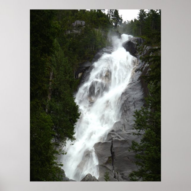 Canadian Landscape West Coast Forest Art Print (Front)