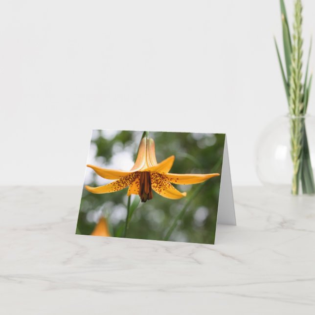 Canadian Lily Flower Photography  Note Card (Front)