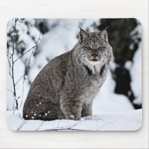 Canadian Lynx in the Snow Mouse Mat