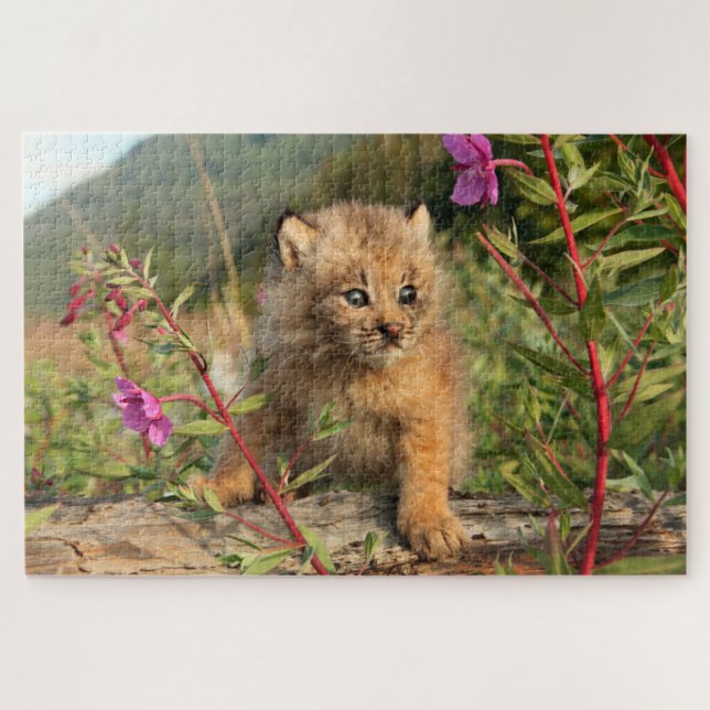 Canadian Lynx Kitten, Alaska Jigsaw Puzzle (Horizontal)