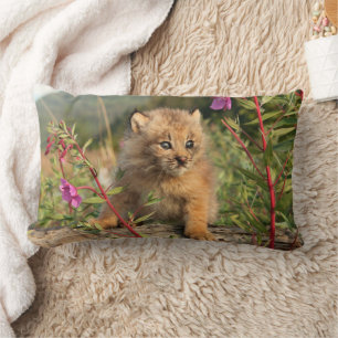 Canadian Lynx Kitten, Alaska Lumbar Cushion