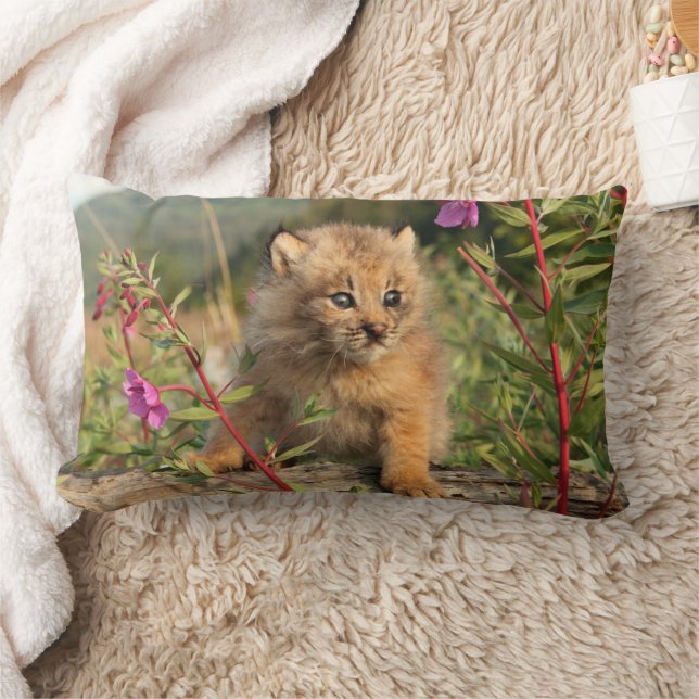 Canadian Lynx Kitten, Alaska Lumbar Cushion (Blanket)