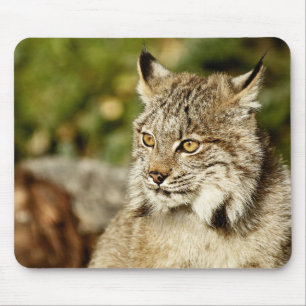 Canadian Lynx Mouse Mat