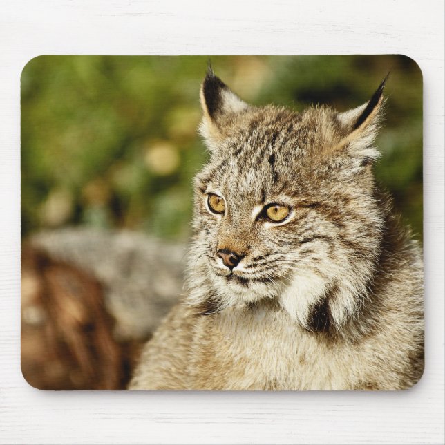 Canadian Lynx Mouse Mat (Front)