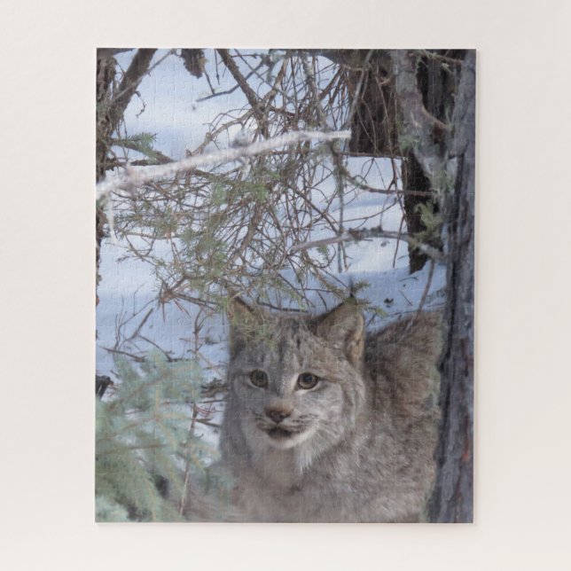 Canadian Lynx Puzzle (Vertical)