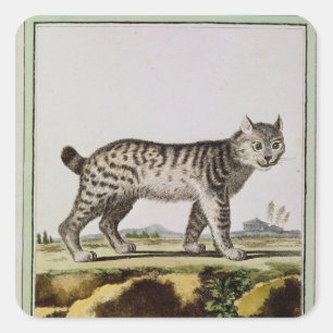 Canadian Lynx Square Sticker