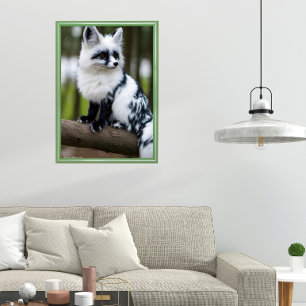 Canadian Marble Fox  Poster