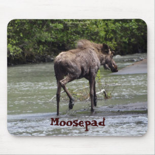 Canadian Moose  Funny Wildlife Mousepad