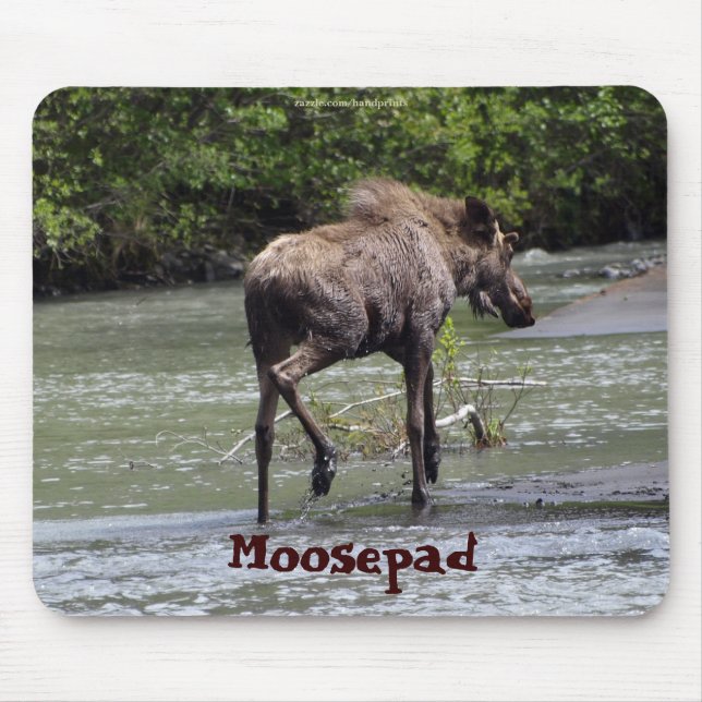 Canadian Moose  Funny Wildlife Mousepad (Front)