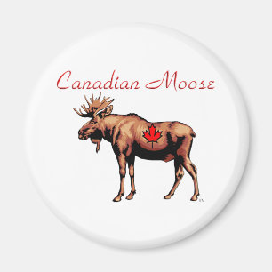 Canadian Moose Magnet
